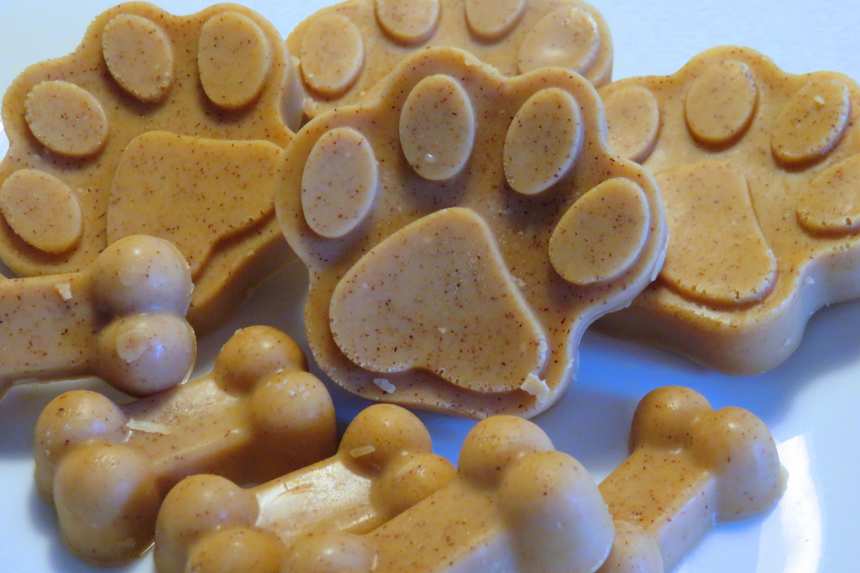 Peanut butter coconut oil dog treats store
